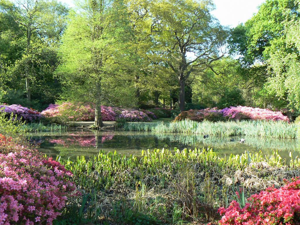 Londonhomegardens エクステリア 写真
